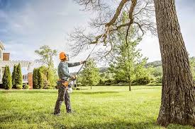 Best Lot and Land Clearing  in Hillandale, MD